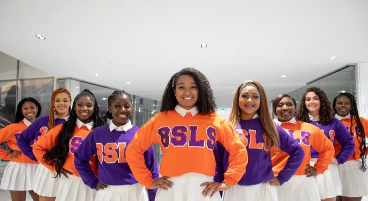 BSLS board